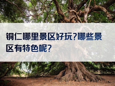 铜仁哪里景区好玩？哪些景区有特色呢？