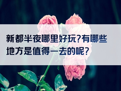新都半夜哪里好玩？有哪些地方是值得一去的呢？