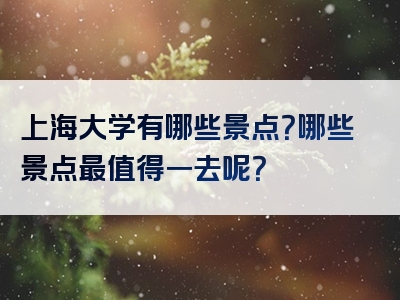 上海大学有哪些景点？哪些景点最值得一去呢？