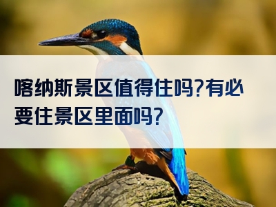 喀纳斯景区值得住吗？有必要住景区里面吗？