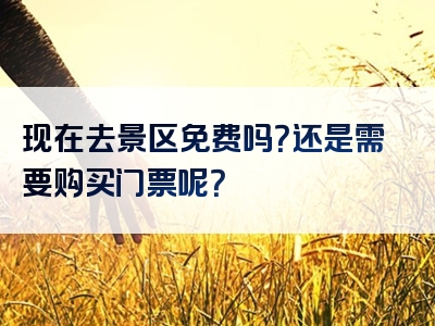 现在去景区免费吗？还是需要购买门票呢？