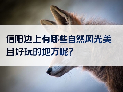 信阳边上有哪些自然风光美且好玩的地方呢？