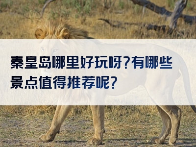 秦皇岛哪里好玩呀？有哪些景点值得推荐呢？