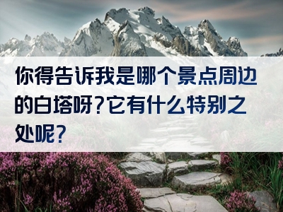 你得告诉我是哪个景点周边的白塔呀？它有什么特别之处呢？