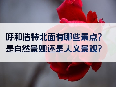 呼和浩特北面有哪些景点？是自然景观还是人文景观？