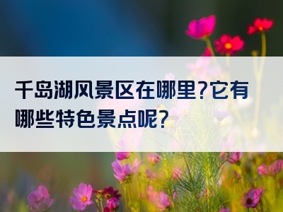 千岛湖风景区在哪里？它有哪些特色景点呢？