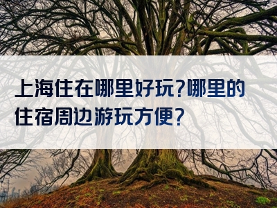 上海住在哪里好玩？哪里的住宿周边游玩方便？