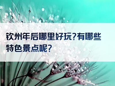 钦州年后哪里好玩？有哪些特色景点呢？