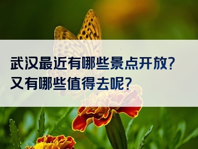 武汉最近有哪些景点开放？又有哪些值得去呢？