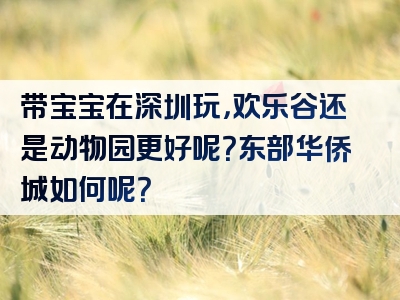 带宝宝在深圳玩，欢乐谷还是动物园更好呢？东部华侨城如何呢？