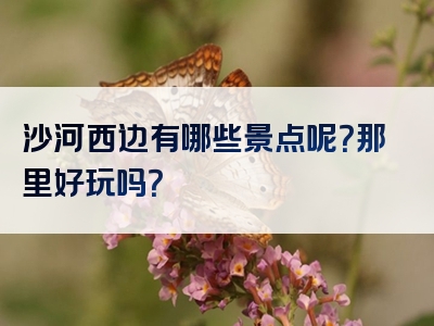 沙河西边有哪些景点呢？那里好玩吗？