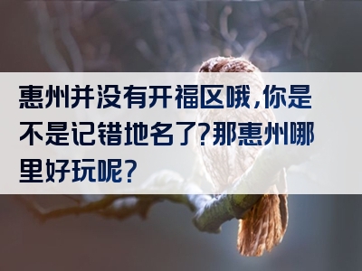 惠州并没有开福区哦，你是不是记错地名了？那惠州哪里好玩呢？