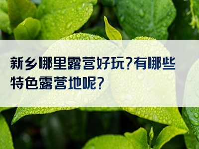 新乡哪里露营好玩？有哪些特色露营地呢？