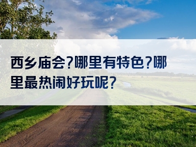 西乡庙会？哪里有特色？哪里最热闹好玩呢？