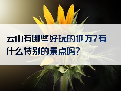 云山有哪些好玩的地方？有什么特别的景点吗？