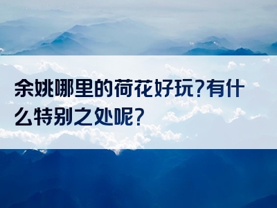 余姚哪里的荷花好玩？有什么特别之处呢？