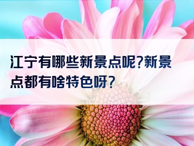 江宁有哪些新景点呢？新景点都有啥特色呀？
