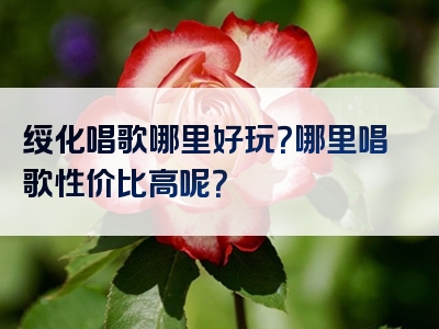 绥化唱歌哪里好玩？哪里唱歌性价比高呢？