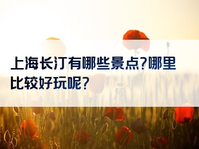 上海长汀有哪些景点？哪里比较好玩呢？