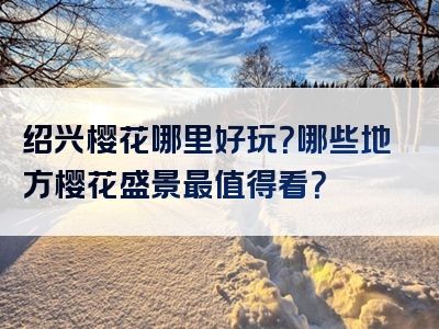 绍兴樱花哪里好玩？哪些地方樱花盛景最值得看？