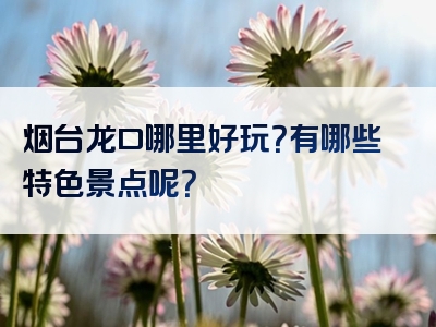 烟台龙口哪里好玩？有哪些特色景点呢？