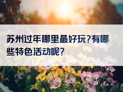 苏州过年哪里最好玩？有哪些特色活动呢？
