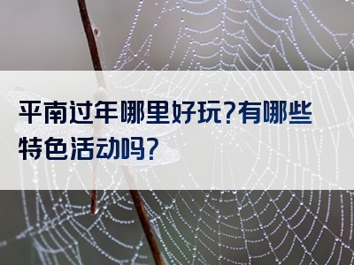 平南过年哪里好玩？有哪些特色活动吗？