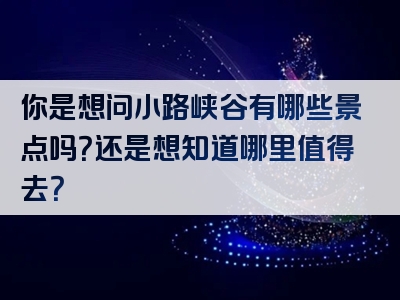 你是想问小路峡谷有哪些景点吗？还是想知道哪里值得去？