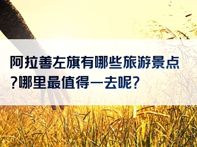 阿拉善左旗有哪些旅游景点？哪里最值得一去呢？