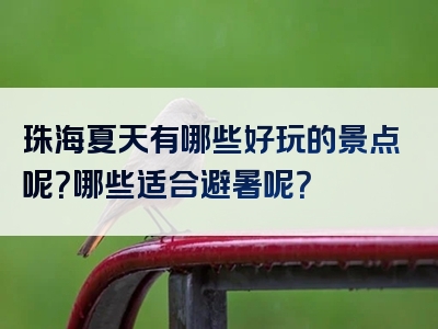 珠海夏天有哪些好玩的景点呢？哪些适合避暑呢？