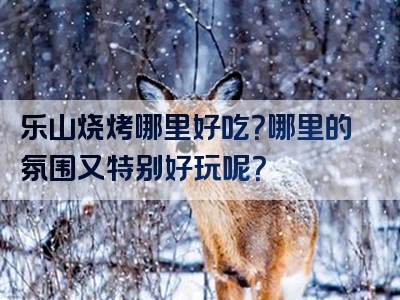 乐山烧烤哪里好吃？哪里的氛围又特别好玩呢？