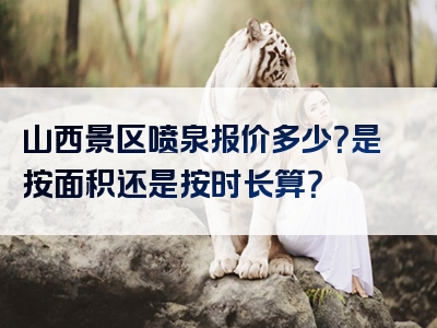 山西景区喷泉报价多少？是按面积还是按时长算？