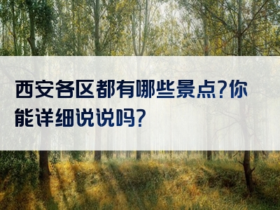 西安各区都有哪些景点？你能详细说说吗？