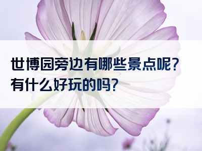 世博园旁边有哪些景点呢？有什么好玩的吗？