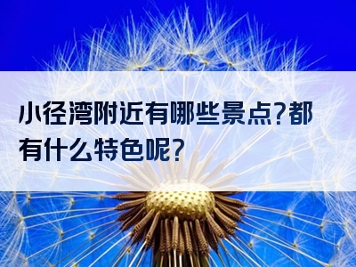 小径湾附近有哪些景点？都有什么特色呢？