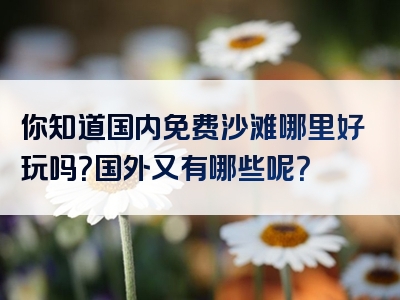 你知道国内免费沙滩哪里好玩吗？国外又有哪些呢？