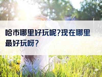 哈市哪里好玩呢？现在哪里最好玩呀？