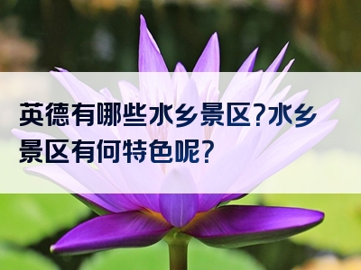 英德有哪些水乡景区？水乡景区有何特色呢？