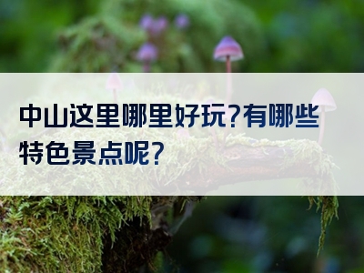 中山这里哪里好玩？有哪些特色景点呢？