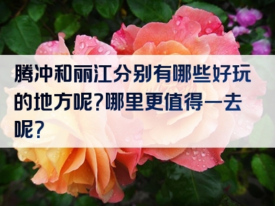 腾冲和丽江分别有哪些好玩的地方呢？哪里更值得一去呢？