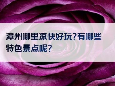 漳州哪里凉快好玩？有哪些特色景点呢？