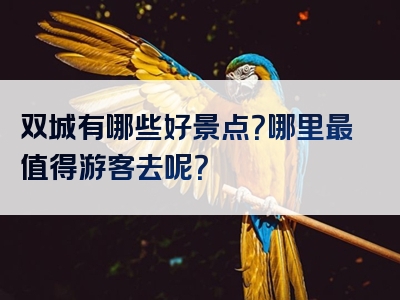 双城有哪些好景点？哪里最值得游客去呢？