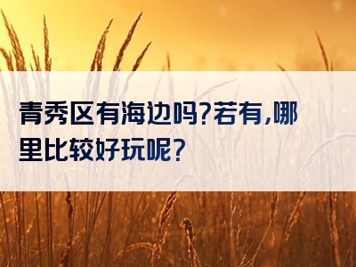 青秀区有海边吗？若有，哪里比较好玩呢？