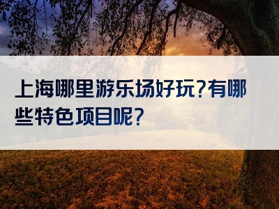 上海哪里游乐场好玩？有哪些特色项目呢？