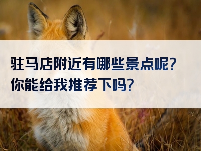 驻马店附近有哪些景点呢？你能给我推荐下吗？