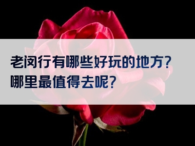 老闵行有哪些好玩的地方？哪里最值得去呢？