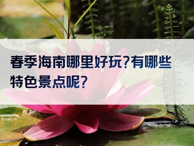春季海南哪里好玩？有哪些特色景点呢？
