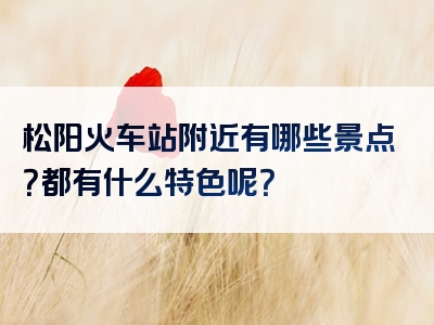 松阳火车站附近有哪些景点？都有什么特色呢？