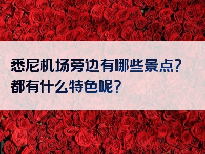 悉尼机场旁边有哪些景点？都有什么特色呢？
