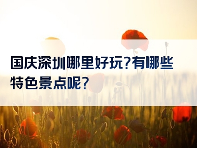 国庆深圳哪里好玩？有哪些特色景点呢？